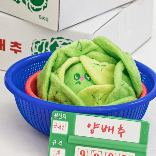 Cabbage Nosework Toy dog toy