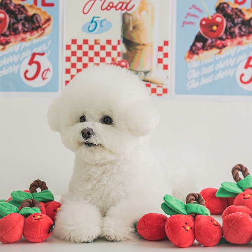 Cherry Tug Toy dog toy
